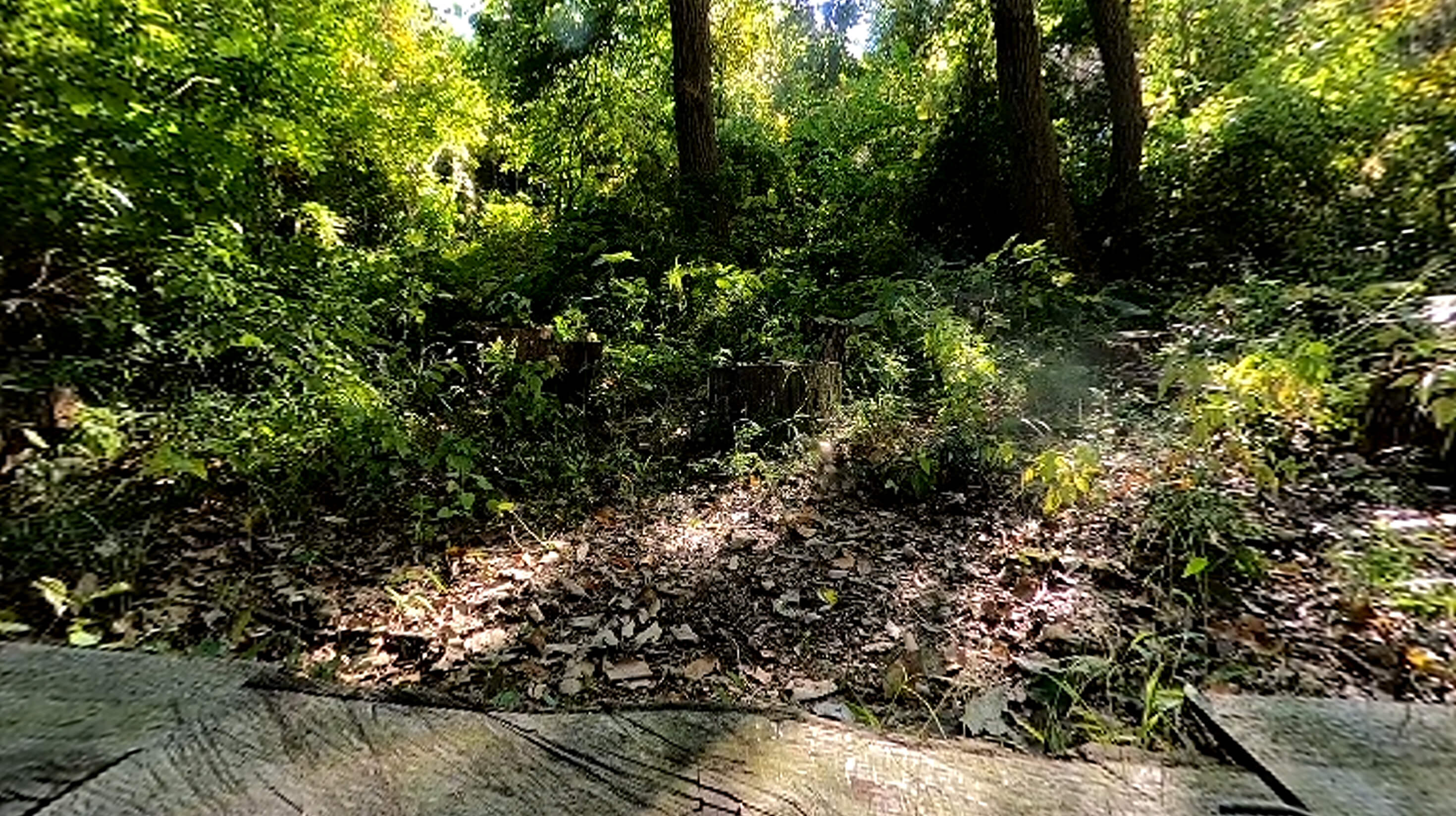 八王子大谷緑地保全地域