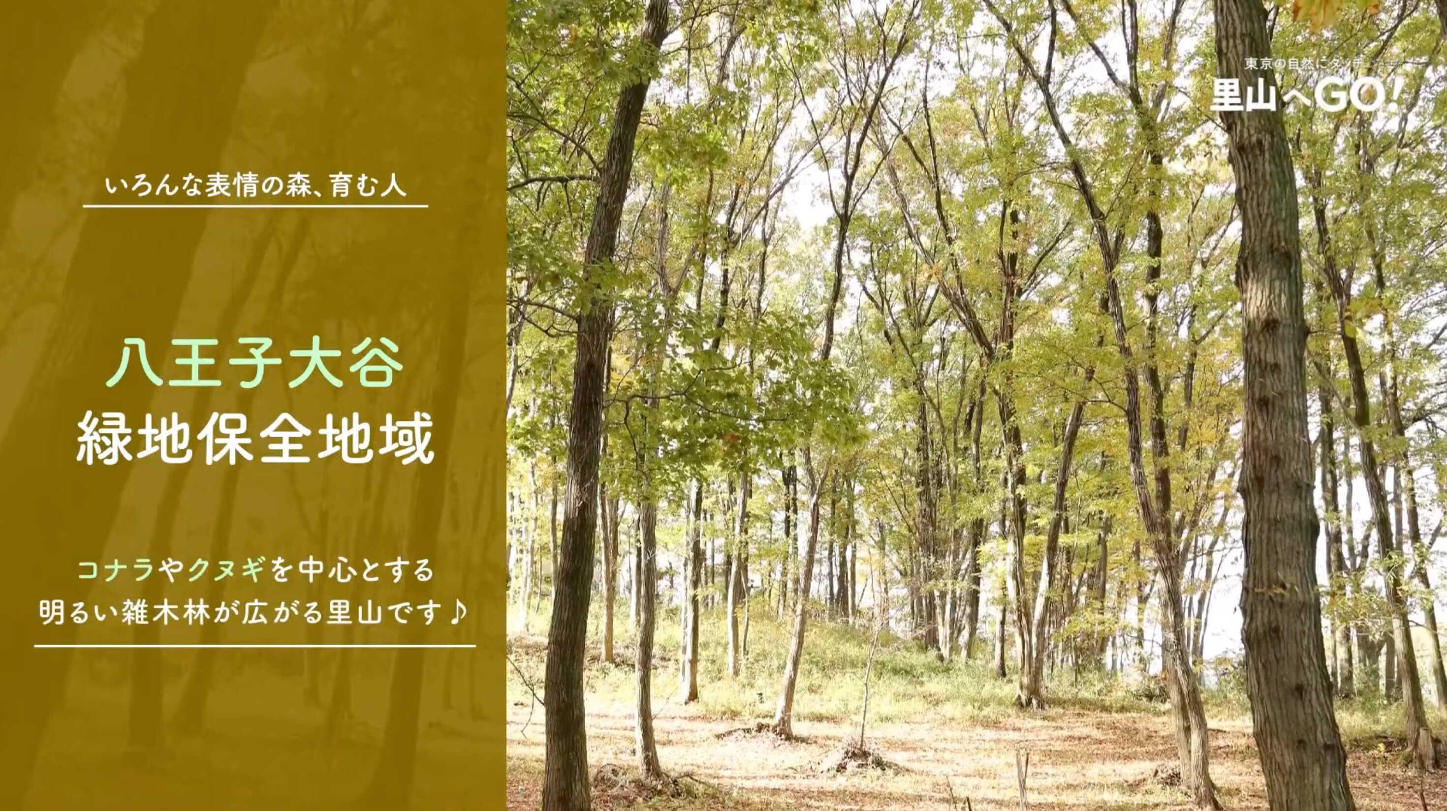 保全地域ってどんなところ？