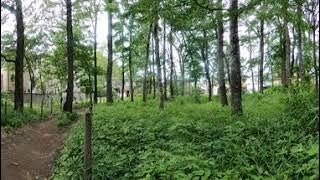 東村山大沼田緑地保全地域