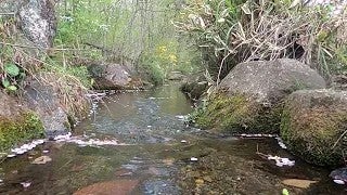 東豊田緑地保全地域