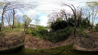 国分寺姿見の池緑地保全地域