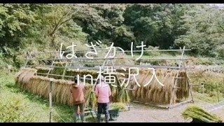 「はざかけ」をしました！＠横沢入里山保全地域