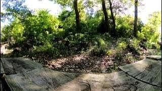 八王子大谷緑地保全地域