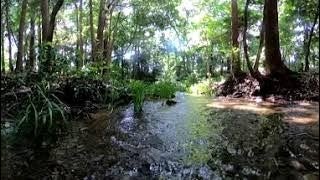 南沢緑地保全地域