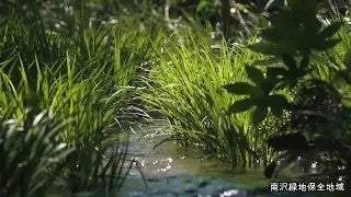 里山へGO！～すぐそばにある東京の自然～