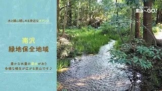保全地域ってどんなところ？＠南沢緑地保全地域