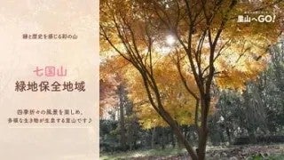 保全地域ってどんなところ？＠七国山緑地保全地域