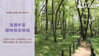 保全地域ってどんなところ？＠清瀬中里緑地保全地域