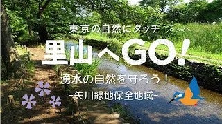 【里山へGO！】 保全地域体験プログラム＠矢川緑地保全地域