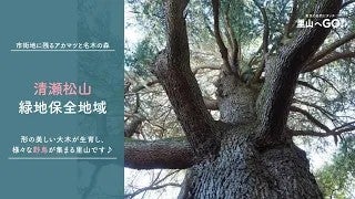 保全地域ってどんなところ？＠清瀬松山緑地保全地域