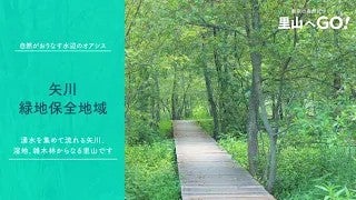 保全地域ってどんなところ？＠矢川緑地保全地域